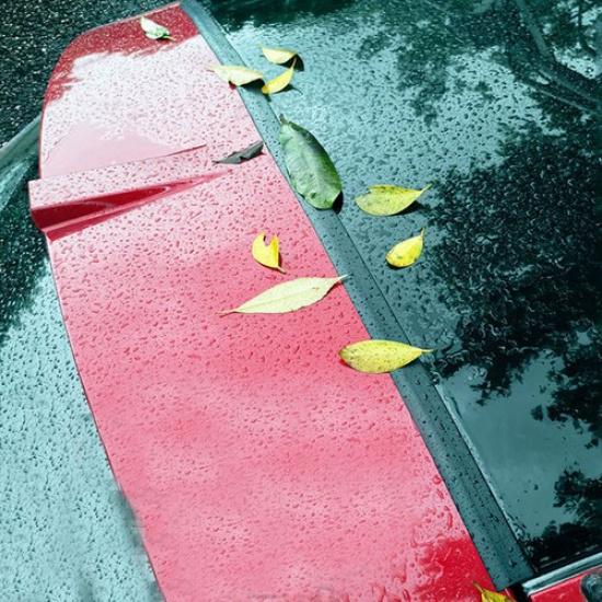 1.6m Car Trunk Gap Cover Seal Strip Weatherstrip For Hatchback SUV Accessories