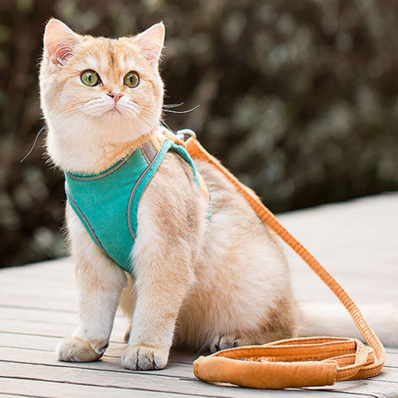 

Pet Reflective Harness + Leash (M) (Green + Orange)