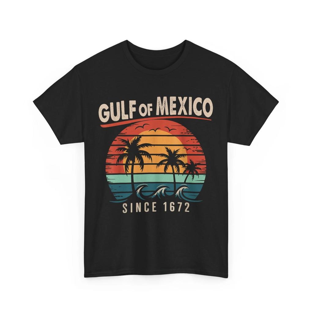 Gulf of Mexico Shirt, Gulf Of Mexico Since 1672 Vintage T Shirt