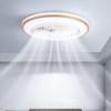 Modern Smart Ceiling Fan Light with App Control