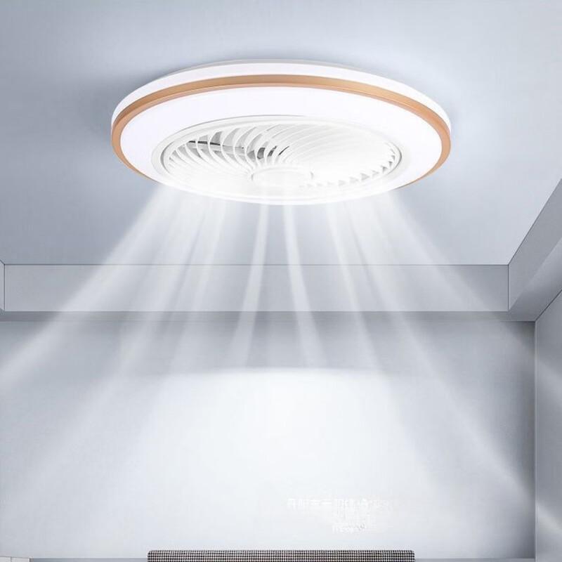 Modern Smart Ceiling Fan Light with App Control