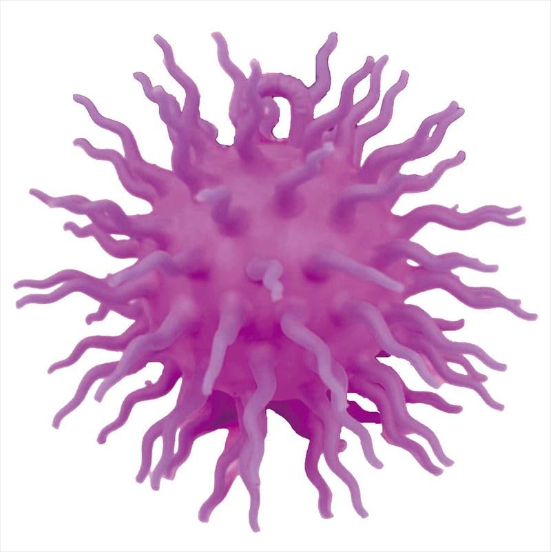 Unique Iga Sea Urchin Ball Assortment Iga Sea Urchin Size UN-0321