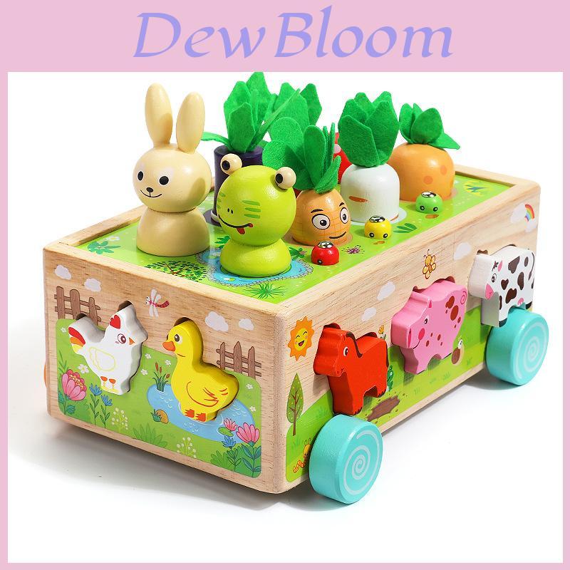 Wooden Farm Orchard Shape Matching Pulling Toy For Kids Learning And Development