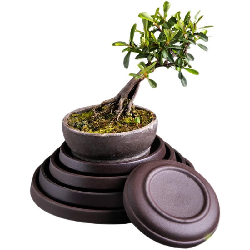 Zisha Ceramic Round Bonsai Pot Drip Tray Set