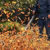 Tiejia Tu EB850 78CC 4-Stroke Gasoline Backpack Blower & Snow Blower CN plug (adapter included)