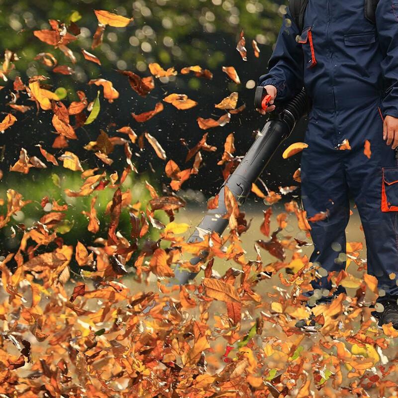 Tiejia Tu EB850 78CC 4-Stroke Gasoline Backpack Blower & Snow Blower CN plug (adapter included)