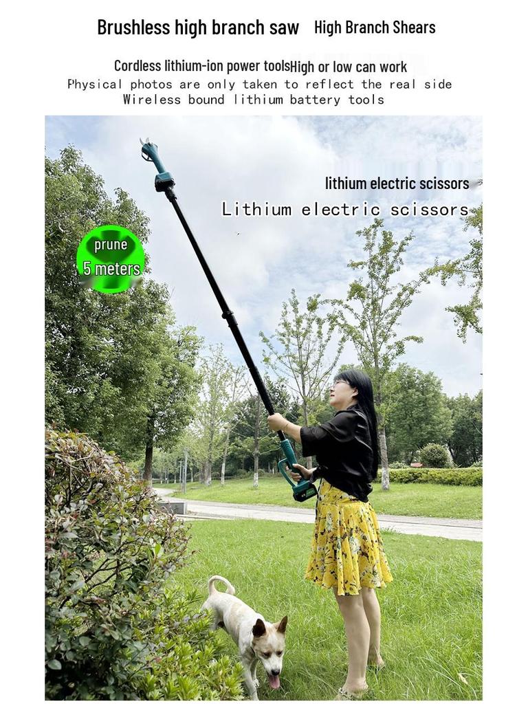 Telescopic Electric Brushless High Branch Pruner Saw for Horticulture and Fruit Trees