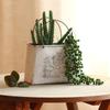 Kreative Handtaschen-Vase Retro Metallkunst Blumenkorb Elegante Pflanze Trockenblumen-Vase Heim-Schreibtisch Dekoration Schmuck Vasen