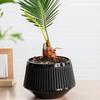 Slotted Orchid Pots Two Layers Breathable Orchid Planter Root Control Planter For Phalaenopsis African Violet Live Plants