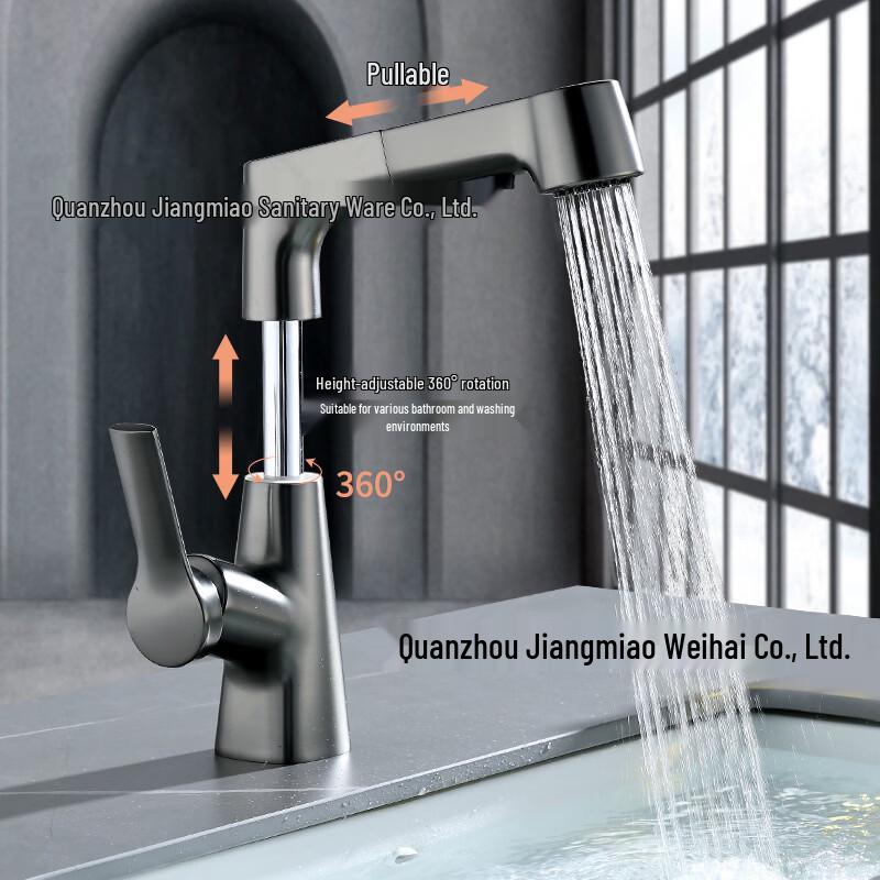 TLXT Bathroom Pull-Out Basin Faucet