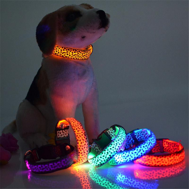 glowing dog leash