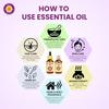 Deve Herbes Aniseed Essential Oil (Pimpinella anisum) with Glass Dropper Pure | Non-Sticky | Non-greasy | Lightweight | Men & Women | All Skin Ty