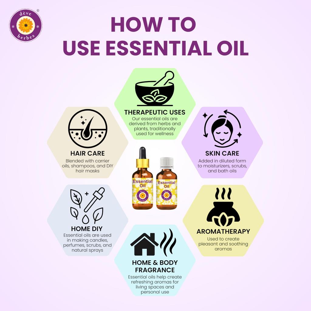 Deve Herbes Aniseed Essential Oil (Pimpinella anisum) with Glass Dropper Pure | Non-Sticky | Non-greasy | Lightweight | Men & Women | All Skin Ty