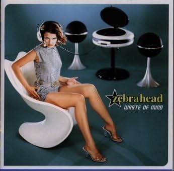 

CD ZEBRAHEAD - Waste of Mind SRCS8833PROMO SME 1998 Japan Obi Rock Used