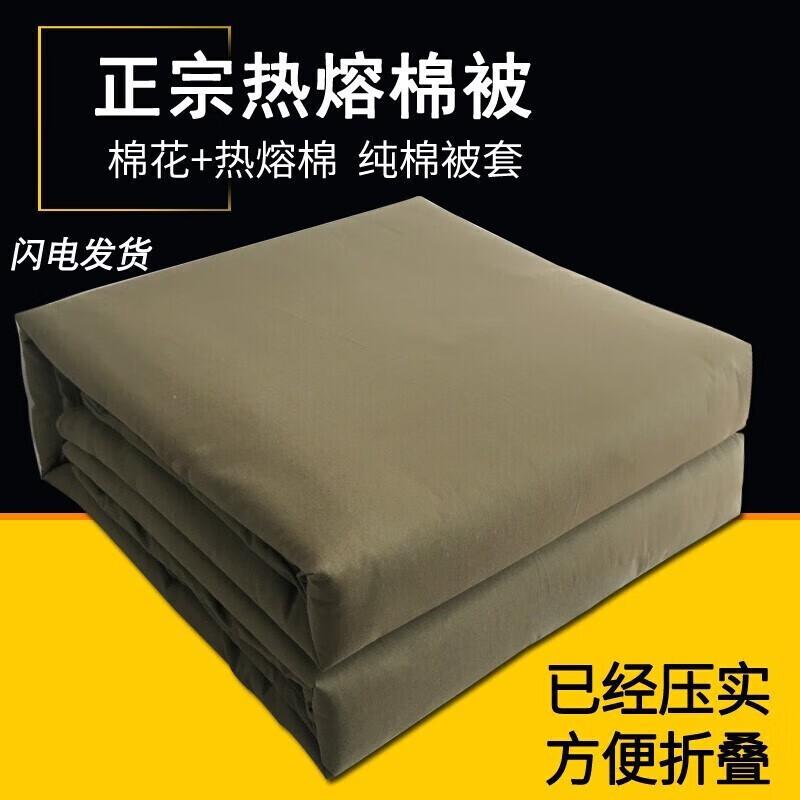 

SuHuawai Winter Single Hot-Melt Cotton Comforter