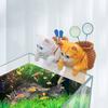 Peixe e animais aquáticos – Decoração de tanque de peixe