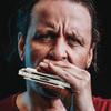 East Top Blues Harmonica In Bb 20 Brass Canvas and Cleaning Professional Diatonic Harmonica 10-Hole Key, Tones, Cover, Case, Cloth, (T008L-Bb-gm)