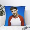 L-Liam Payne Singer Pillow Case  Soft Pillow Cover For Sofa Home Decoration Novelty Pillowcases