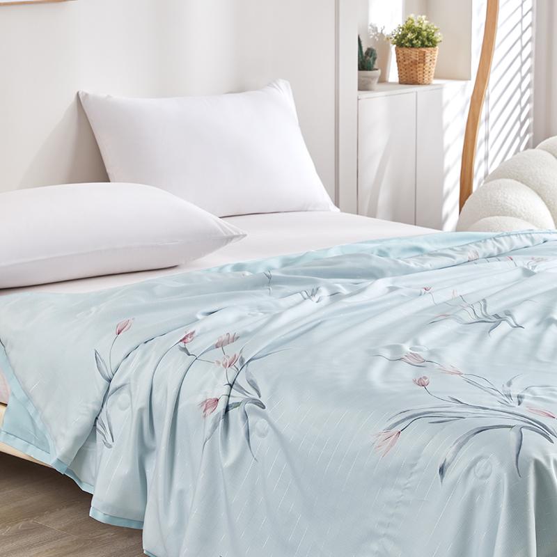 Hongrui Youpin Lyocell Washable Silk Summer Quilt 200 * 230