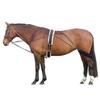 Hy Horse Lunging System
