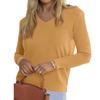 Women's Fashionable Casual V Neck Solid Color Long Sleeve Top
