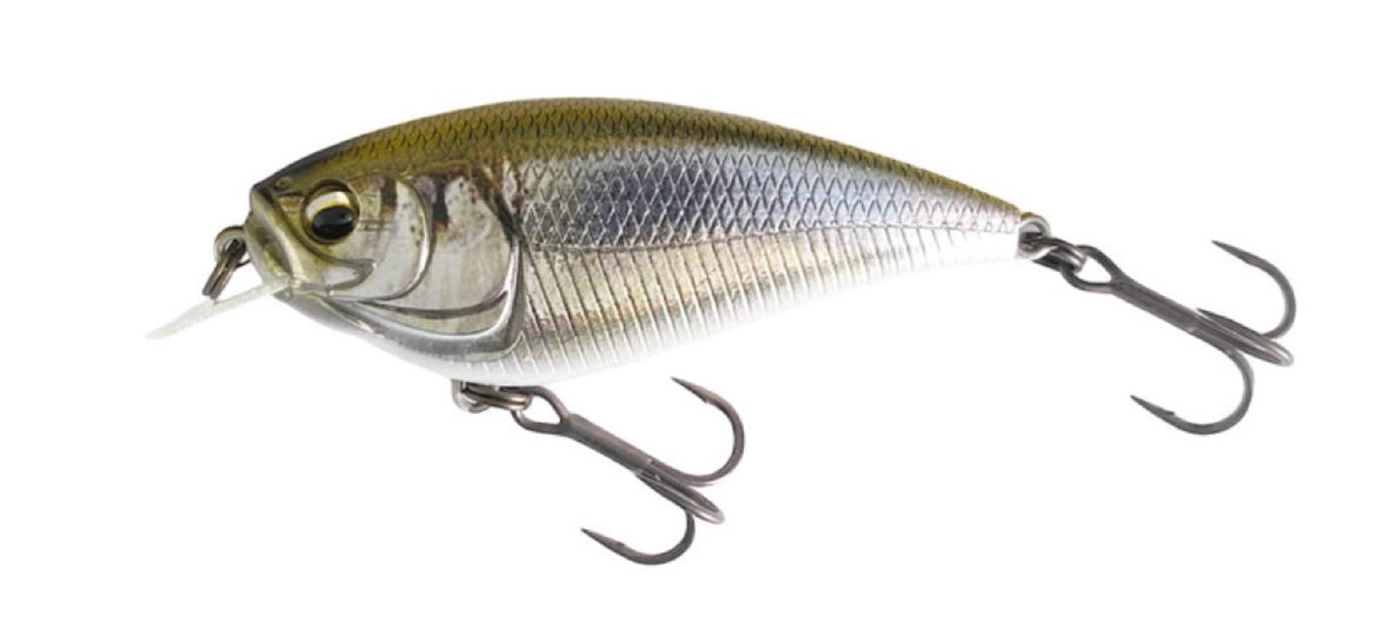 Leurre Flottant Imakatsu Gekiasa Flat 65mm 11g – Couleur 37 – Avec Rattle