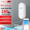 GANGQI SW100 WiFi Leak Sensor