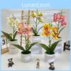 Film Simulated Flower Potted Arrangement For Photography And Home Decor