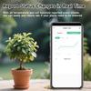 Wireless Plant Soil Sensors With High Precisions Measurement Temperature Humidity Fertility Light Tester for Home Garden