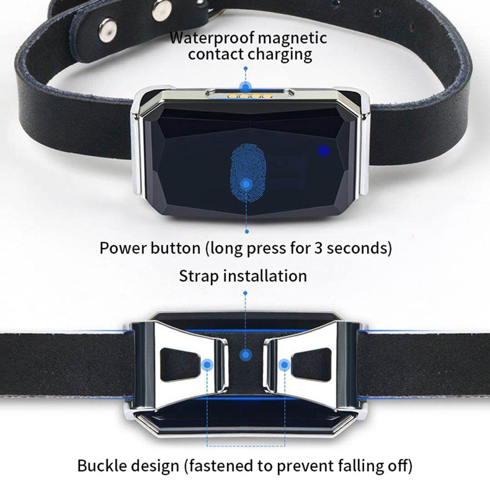 G12 GPS Location Tracker Wearable Smart Collar Pet Tracking Locator Waterproof IP67 Anti-lost Record Multifunctional for Cat Dog
