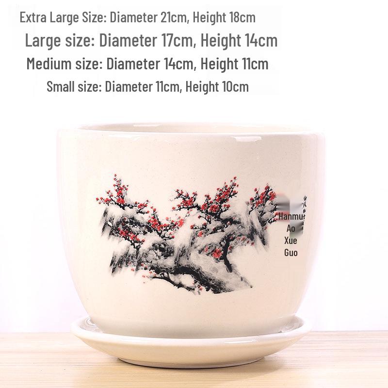 Extra Large Ceramic Flower Pot with Saucer for Succulents and Orchids, Creative Balcony Gardening Stand.