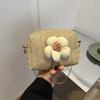 2023 Summer New Small Niche Bag Women's Fashion Crossbody Bag