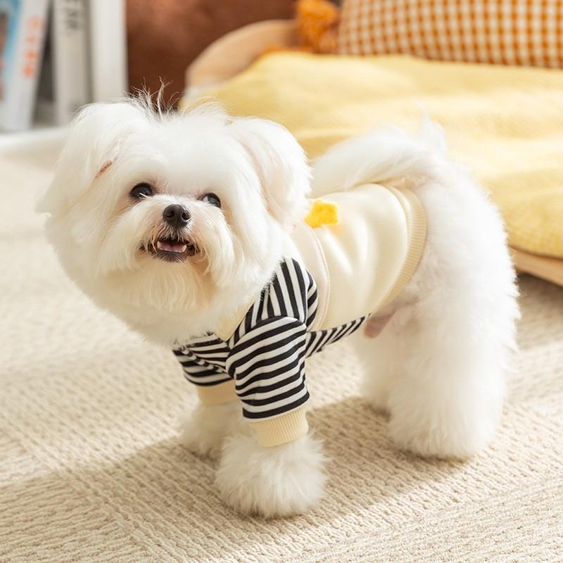 Thin Autumn Winter Dog Hoodies Cute Dog Clothes 2025 Girls Dog Outfit Pet Dog Coat with D-Ring Puppy Sweatshirt Chihuahua Jacket