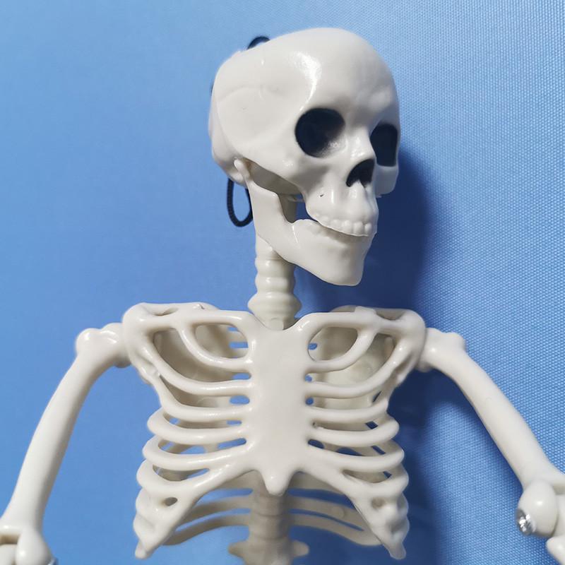 40cm Active Human Skeleton Model Medical Learning Anatomy Skeleton Modle Halloween Party Decoration