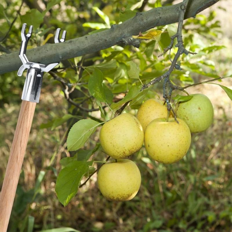 20Pcs Y Branch Support Brackets Metal Rustproof Garden Stake Holders Plant Straightening and Leaning Support