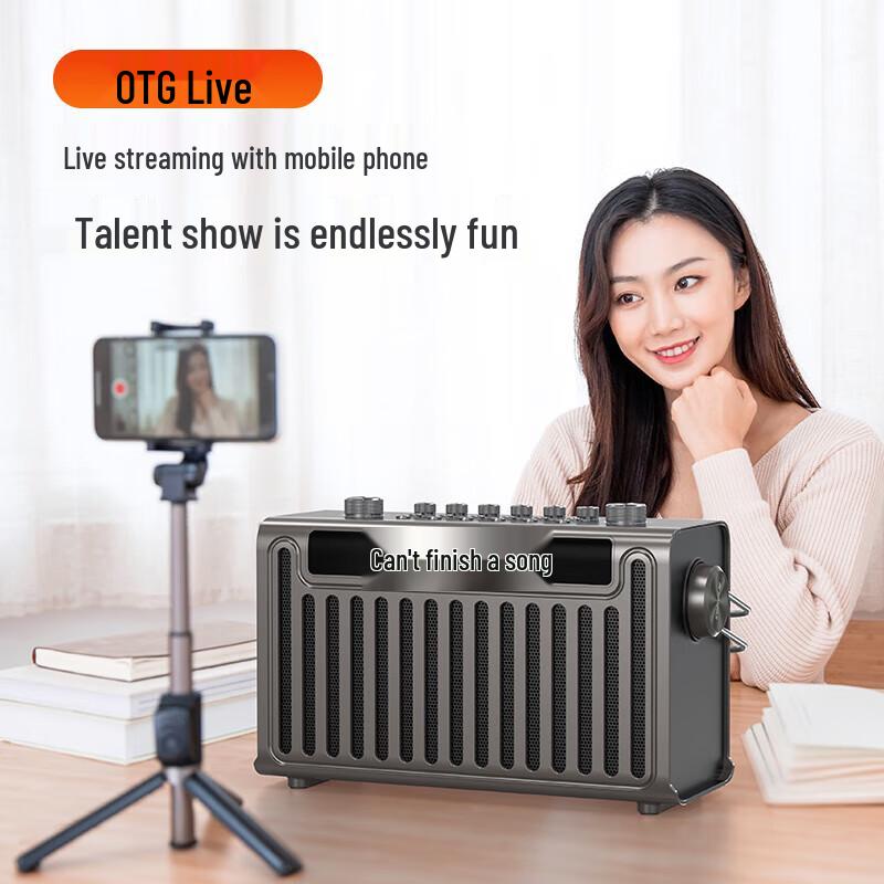 Sansui E96 Portable Karaoke Bluetooth Speaker