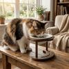Detachable Elevated Cat Water Bowl Anti Slip Raised Dog Food Bowl Ceramic Cat Bowl  Pet Supplies