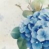 1 Stück Aquarell Blaue Hortensien Duschvorhang - Eukalyptus Design, 71x71 Zoll, Polyester, Handwäsche, Stilvolle Badezimmerdekoration