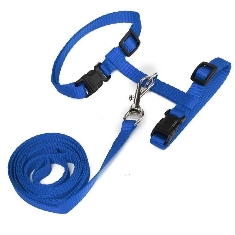 Haustier Traktion Harness Gürtel Katze Harness Leine Nylon Tiere Katze Kätzchen Halfter Kragen