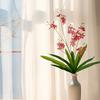 7 Forks Milan Flower Spring Melody Orchids With Green Leaves Artificial Orchid Phalaenopsis Green Plants Home Decoration Wedding