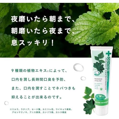 Bulk Purchase (2 packs) Dentis Normal Mint Toothpaste, 100g (Includes Original Thank You Card)