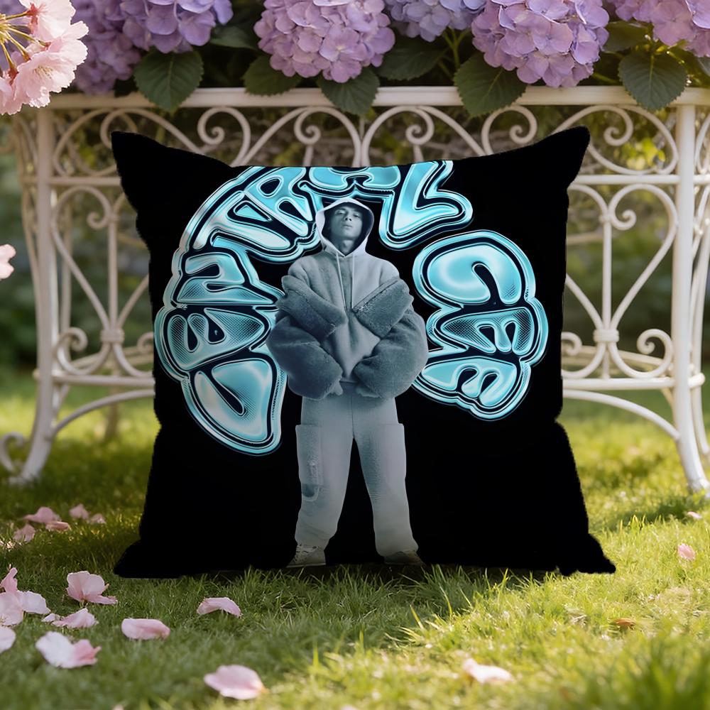 RAP C-Central Cee Cushion Cover Home & Car Dual-Scene Pillow Cover: Reversible for Premium Comfort