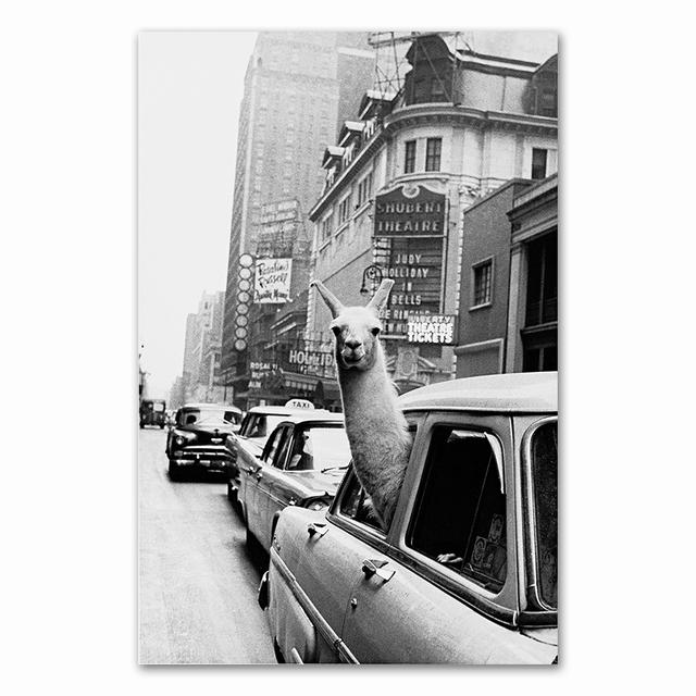 

Лама в такси на Таймс-сквер с принтом на холсте и винтажным принтом с ламой в Нью-Йорке, фото, настенное искусство, домашний декор, без рамки 40*60cm