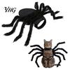 Abbigliamento Cosplay per Animali Domestici Costume Ragno di Halloween per Cani Piccoli Gatti, Vestito per Gatti con Cinghie Regolabili per Gatti Travestimento e Foto per Feste Spettrali