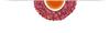 Edible Dried Rose Petals 200 Rose Petal