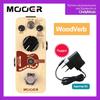 REECHO-Digital Delaying Single Effect for Electric Guitar