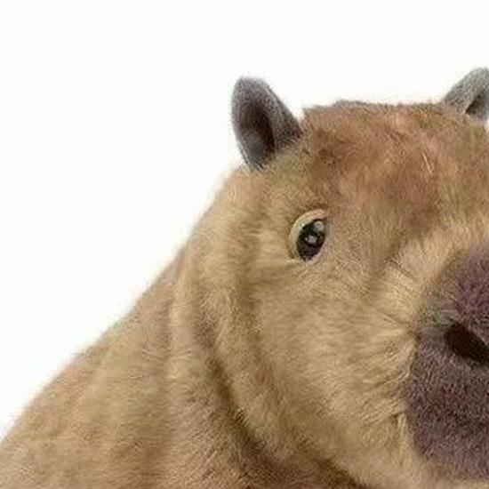 Capybara Plush Toy - Cute and Quirky Cloth Doll Gift for Kids' Birthdays