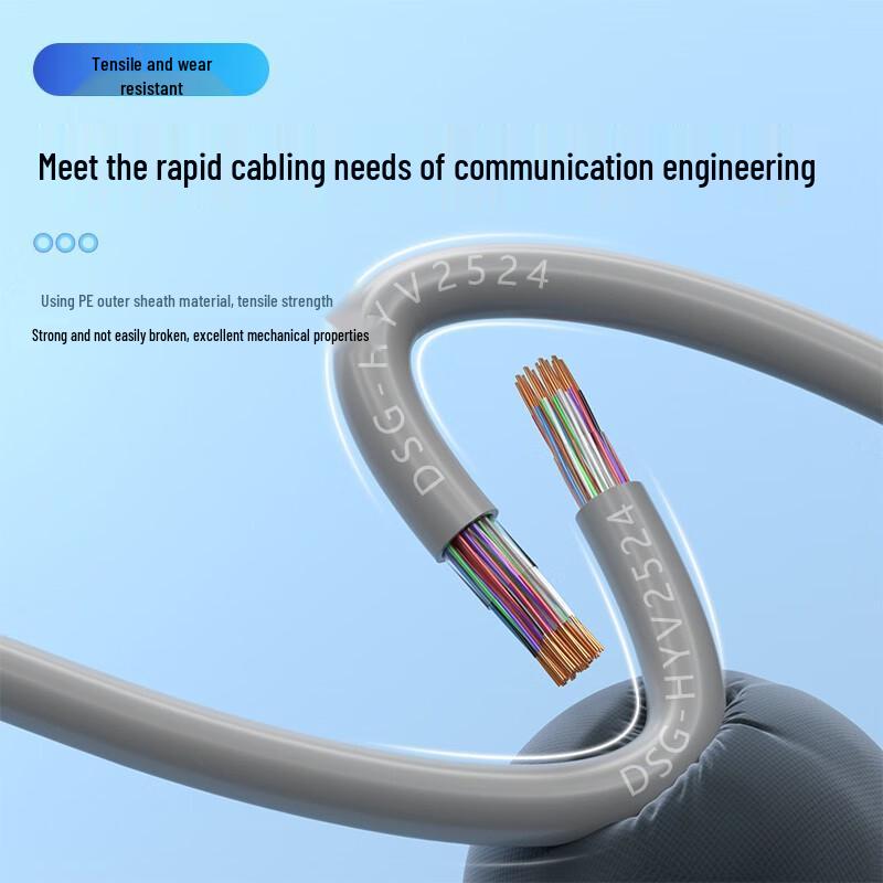 Dasheng Light Indoor 25-Pair Voice & Data Communication Cable