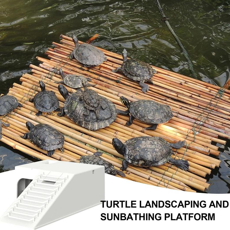 Schildkröte Verschleißfest Und Stabil Reptilienversteck Sonnenplatz Für Schildkröte Terrasse Mit Schutzhaus Und Wasserfilter Für Frosch Klein