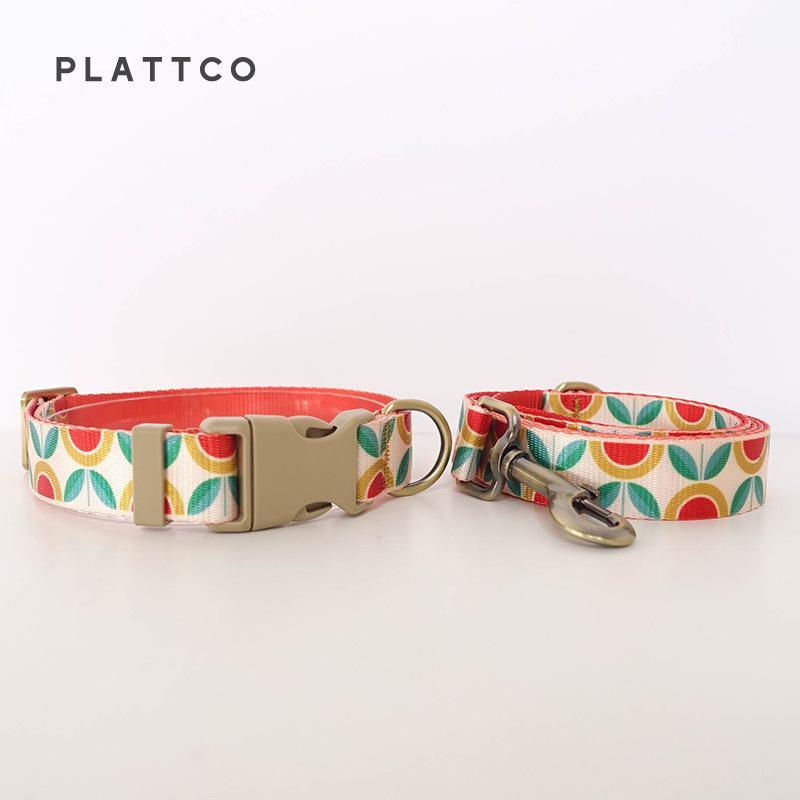 Набор: Нейлоновый ошейник и поводок PATTCO Semi-Flower для кошек и собак PDC351 Medium